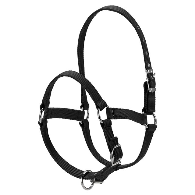 Amdohai Collier de Tête de Cheval Épaissi 6 mm, Réglable, Sécurité, Licou, Bride