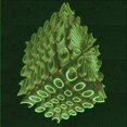 thumbnail image 1 of Ahgly Tapis d'Intérieur Lavable en Machine Carré Vert Lime Foncé, 6 Pieds Carré, 1 of 7