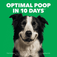 thumbnail image 3 of Iams Minichunks Adult Dry Dog Food Lamb & Rice Recipe 1.5kg, 3 of 17