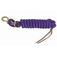 thumbnail image 1 of AJ Tack 9 Foot Nylon Lead Rope with Leather Popper Purple, 1 of 4