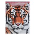 thumbnail image 1 of 60x80 Inch Cooling Comforter Cold Tech Cooling Blanket Heavy Tiger Flannel Blanket Extra Soft Fluffy Throw Blankets Boho Decorative Throw Rustic Blanket for Sofa Couch Bed Living Room, 1 of 8