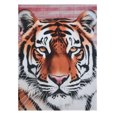 Specialoffer! Flannel Blanket For Winter Ply Heavy & Warm Korean Style Bed Blanket Reversible Printed Raschel Queen Size Blanket Wrinkle & Fade Tiger