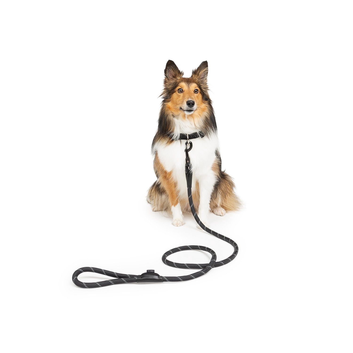 One Paw, Laisse en Corde Réfléchissante Hiker pour Chien, Plusieurs Couleurs, 1.6m