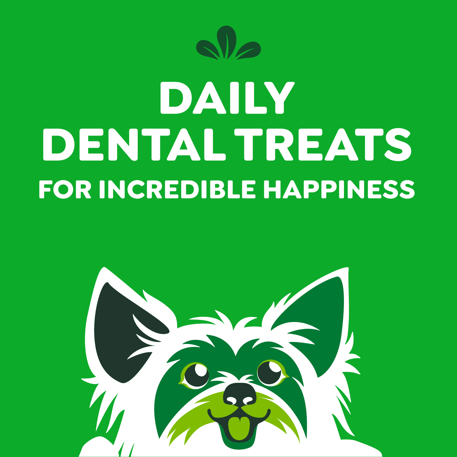Gâteries dentaires naturelles pour chiens adultes GREENIES Original format TEENIE