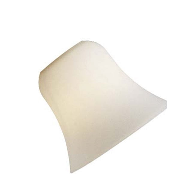 Minka-Aire 2548 Etched Opal Glass