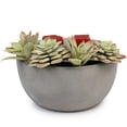 thumbnail image 1 of ScentSationals, Hotplate Warmer, Succulent, 1 of 4