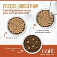thumbnail image 3 of Catit Recipes Freeze Dried Raw Dry Cat Food Topper, Chicken 100g, 3 of 7