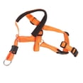thumbnail image 2 of Dog Head Harness, Dog Head Collar Adjustable Strap Breathable Practical  For Camping Orange,Blue,Red, 2 of 8