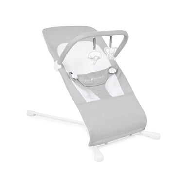 Baby Delight highland Bouncer, Pebble Grey