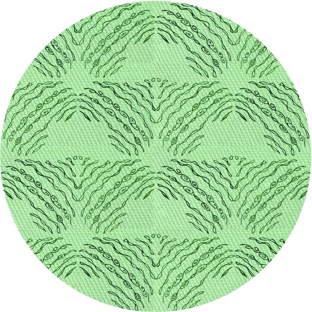 Ahgly Company Tapis Rond Lavable en Machine Intérieur Transitionnel Vert Clair, 6 Pieds Rond