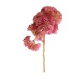 thumbnail image 2 of Artificial Rice Seed Fruit Flower Rustic artificial flower artificial floral Fake Flower Wedding Party Floral Decor Home Ornament, Light Purple, 2 of 5