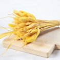 thumbnail image 2 of Coofit Dry Flower Branch DIY 24PCS Simple Natural Dried Grass Stem Dry Grass Decor, 2 of 8