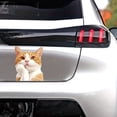 thumbnail image 4 of CEHVOM Car Stickers And Decals,Car Stickers Funny,Stickers For Cars,Cute Orange Stickers Car Stickers Window Stickers, 4 of 6