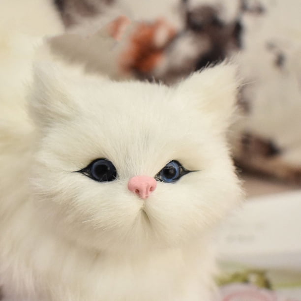 Kawaii Chat Peluche Jouet Dessin Animé Mignon Chaton Poupée Doux Or En Peluche Haute Qualite Cadeau Fille Enfants Jouet Am Kawaii Chat Peluche Jouet Dessin Animé Mignon Chaton Poupée Doux Or En Peluche Haute Qualite Cadeau Fille Enfants Jouet Am