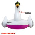 thumbnail image 4 of Airhead Bouée Bouée AHPF-3018 Airhead Bouée de Piscine - Cool Swan, 4 of 4