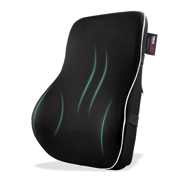 ObusForme Lumbar Support Memory Foam Back Rest with Dual Adjustable Straps – Ergonomic Cushion for Office Chair, Home Seating, Gaming Chair Removeable Washable Cover