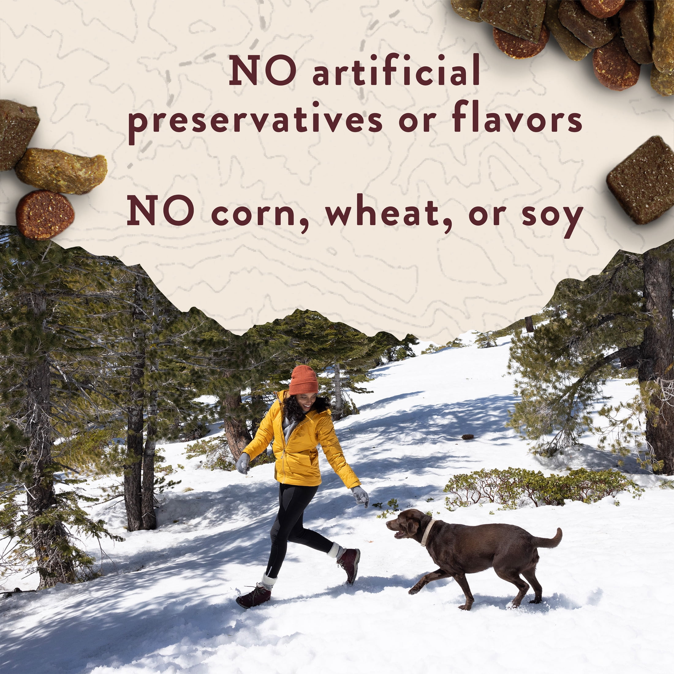 Zuke's Trail Mix Peanut Butter & Oats Recipe, Dog Treats, 170 g