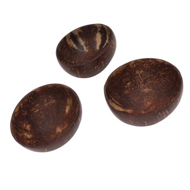 Bols en Coquille de Noix de Coco, Écologiques Polis à la Main Texture Unique Bols Réutilisables pour Dessert pour Petit-Déjeuner