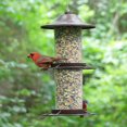 thumbnail image 2 of Mangeoire d'oiseaux Panorama de Perky-Pet, 2 of 6