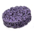 thumbnail image 4 of 5 Pcs Disque de Disque Poly 50mm 2 Pouces Verrouillage Roue de Meulage Détachant Peinture Rouille Violet, 4 of 7