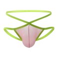 thumbnail image 1 of Birdeem Fashion Ice Silk Panties Briefs Fashion Breathable Nylon Mesh Boxers, 1 of 1