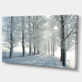 thumbnail image 3 of Designart Winter Trees Backlit by Morning Sun Canvas Wall Art, 3 of 4