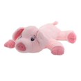 thumbnail image 4 of Way to Celebrate Floppy Pink Pig Plush - Large, 4 of 6