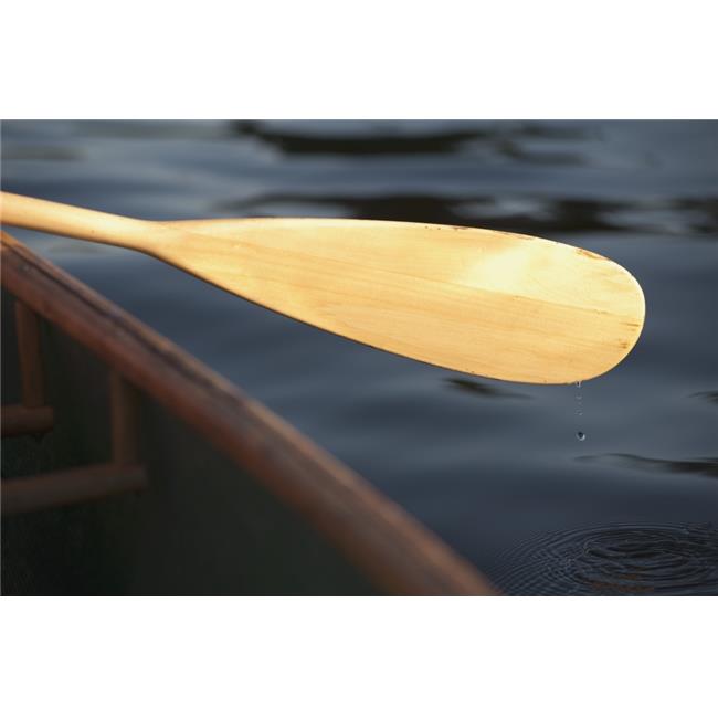 Posterazzi DPI1864851 Canoe Paddle Poster Print, 18 x 12