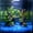 10Pcs Glowing Aquarium Pebbles Under $5 a4, variant on 10Pcs Glowing Pebbles For Aquarium, Yannianjz Glow In The Dark Pebbles, Luminous Plastic Aquarium Stones, Fluorescent Vase Decor For Aquascaping Gardening Substrate Fish Tank