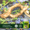 thumbnail image 3 of Inulin Fiber Capsules - 300 Veggie Capsules, 3 of 8
