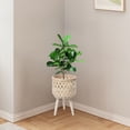 thumbnail image 1 of Wzzjkit Plant Basket with Stand Indoor Plant Pots Holder Sturdy Plastic Imitation Rattan Flower Stand, Triangular Support Flower Pots with Stand, Desktop Potted Storage Container Office Plant Pot, 1 of 6