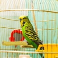 thumbnail image 1 of Canne à Pêche pour Oiseaux avec Griffes, 1 of 6