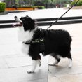 thumbnail image 3 of Adjustable Pet Dog No Pull Harnesses Collar Reflective Pet Vest Dog Supplies, 3 of 8