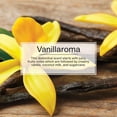 thumbnail image 3 of LITTLE TREES Désodorisant Spray Vanillaroma 3.5 FL OZ, 3 of 7