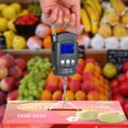 thumbnail image 3 of ruzhgo 50kg Electronic Weight Scale Hook Hanging Digital Display Balance Pocket Luggage Battery Operated Handheld Kitchen Steelyard, 3 of 6