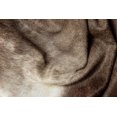 thumbnail image 4 of H-Natural Kobe Exotic Cowhide 6'X7', 4 of 5