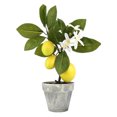 thumbnail image 1 of Fake Tree Fruit Simulation Lemon Bonsai Garden For Home Party Living Room Ornament Plants Potting, 1 of 5