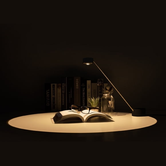 Tubicen 5W LED Dimmable Table Lamp, Focus on Thinking Desk Lamp with Touch Button, Eye-Caring Home Office Studying Working Light, USB Charging Concentrated Desk Light