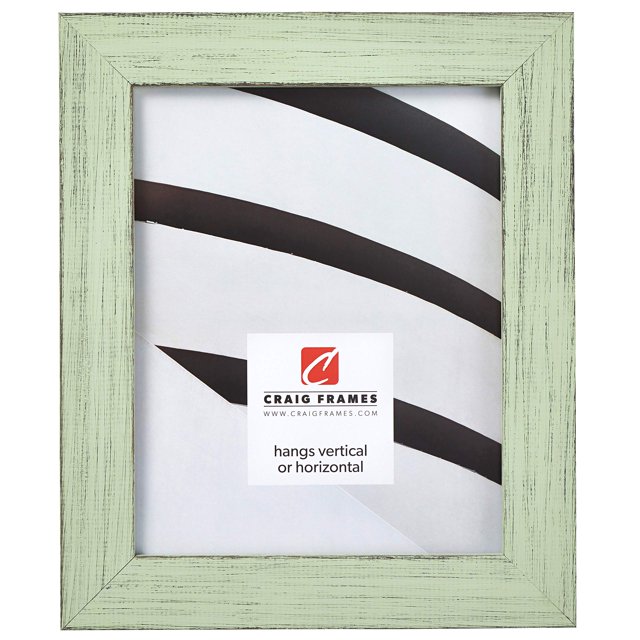 Craig Frames Jasper Picture Frame, 8 x 11 Inch, Country Mint Julep