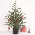 thumbnail image 1 of sdhkgrrt under $5 Artificial Christmas Tree, Christmas Norfolk Pines Needle Christmas Tree,Artificial Potted Christmas Tree,Simulation Green Plant Bonsai,Living Room Holiday Decor,Fake Christmas Tree, 1 of 9