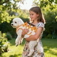 thumbnail image 4 of Hands Yorkie Shoulder Small Sling Backpack for Outdoor Use with Front Purse Vest Harness Foldable Medium Slings Hand Carry Support Backcat Puppy, 4 of 6