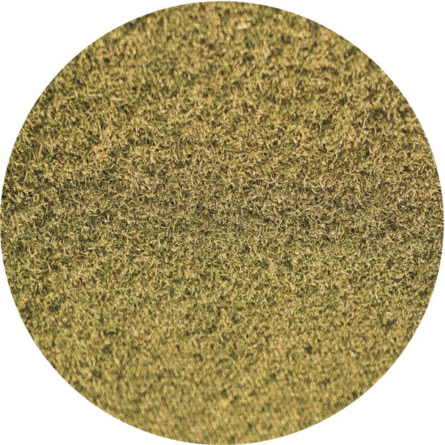 Ahgly Company Tapis de Zone Rond d'Intérieur Lavable à la Machine, Style Transitionnel, Jaune, 8 Pieds Rond