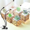 thumbnail image 1 of Lampe Phytolampe à DEL 6000K à Spectre Complet à Pince, Multi-Têtes, Étanche, Lampe de Croissance pour Plantes avec DEL Bleues et Rouges pour Plantes d'Intérieur, 1 of 9