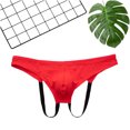 thumbnail image 2 of Penkiiy Strings Aguichant pour Hommes Hommes Décontracté Uni Design Ajouré Aguichant Respirant Taille Basse sous-Vêtements Pantalon Rouge sous-Vêtements, 2 of 6