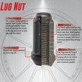 thumbnail image 3 of SPLN-CAR-M12 1.25 1P Lug Nut, 3 of 3