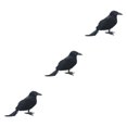 thumbnail image 3 of Shengyu Simulation Crow Animal Model - Halloween Party Decoration With Festive Ambiance Straight crow 3Set, 3 of 6