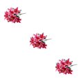 thumbnail image 4 of mmirethe Low Maintenance Artificial Lilium Flower Realistic Appearance And Long-lasting deep pink 3Set, 4 of 6