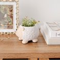thumbnail image 1 of Linen Chest Small Hedgehog Planter, 1 of 4