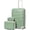 Green, variant on Joyway 2-Piece Carry-on Suitcase Set 20-inch Hard-Shell Suitcase with Spinner Wheels and TSA Lock Unisex Lightweight Travel Suitcase