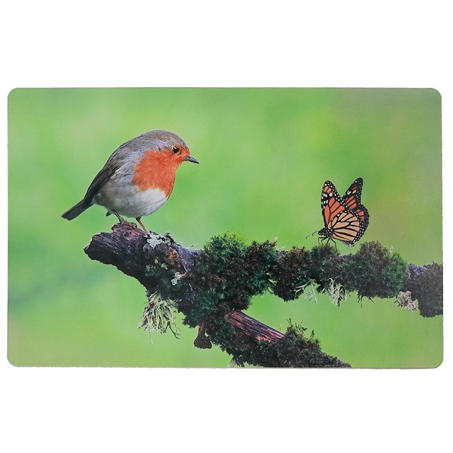 Robin En Plastique Et Monarque 12 X 18 - Ensemble De 12